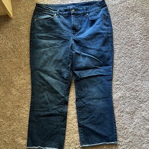 Isaac Mizrahi Blue Straight Leg Jeans Classic Fit